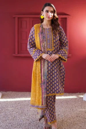 Stitched Printed khaddar 3 PC