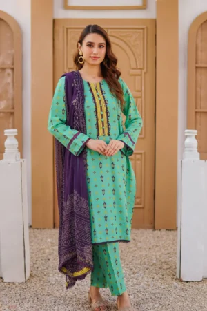 Stitched Printed Khaddar 3-Piece